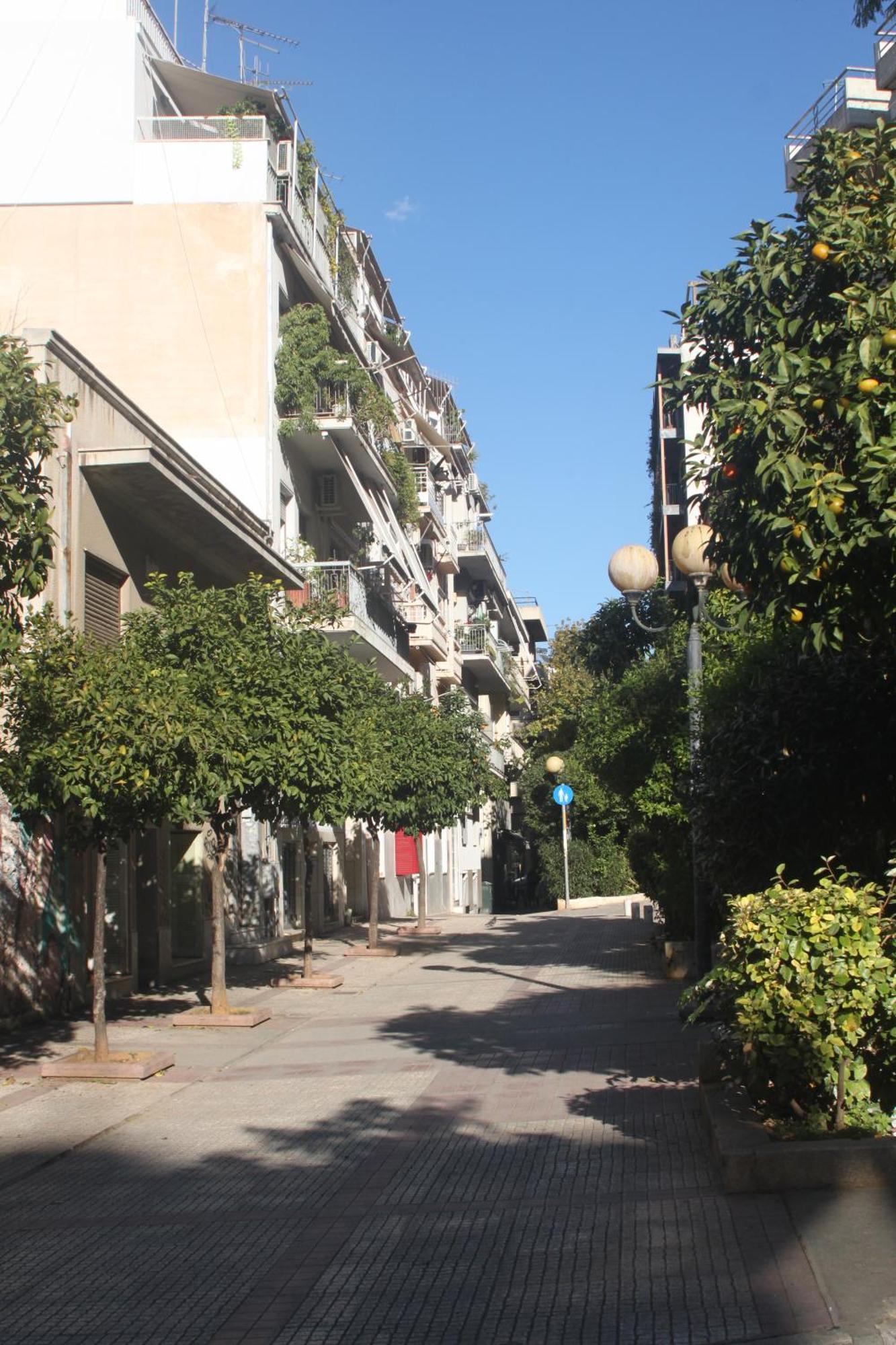 "Under The Olive Tree"- Beautiful Apartment In The Heart Of Atene Esterno foto