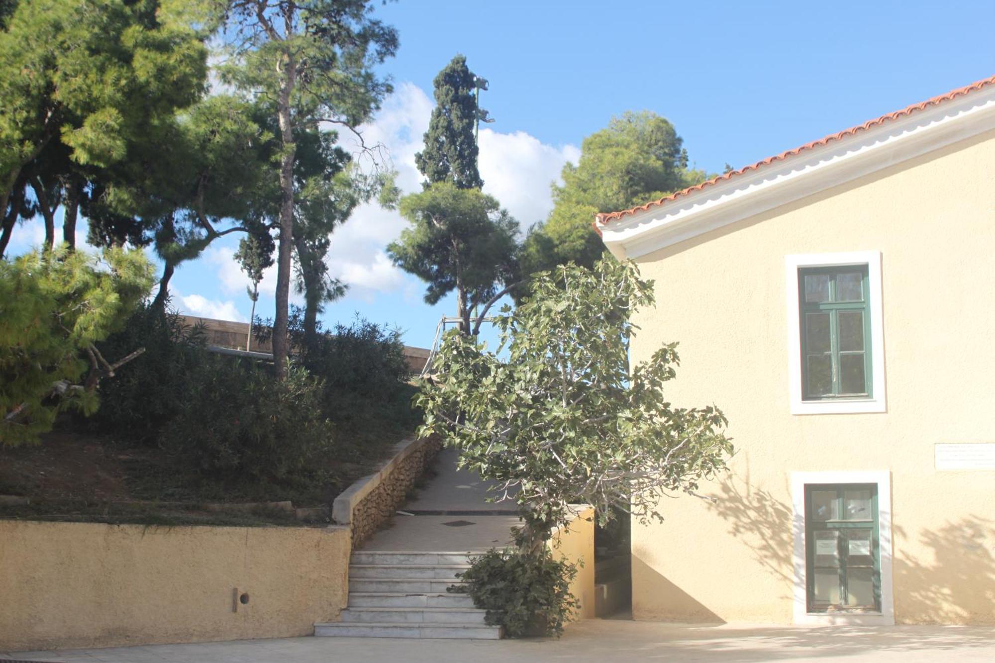 "Under The Olive Tree"- Beautiful Apartment In The Heart Of Atene Esterno foto