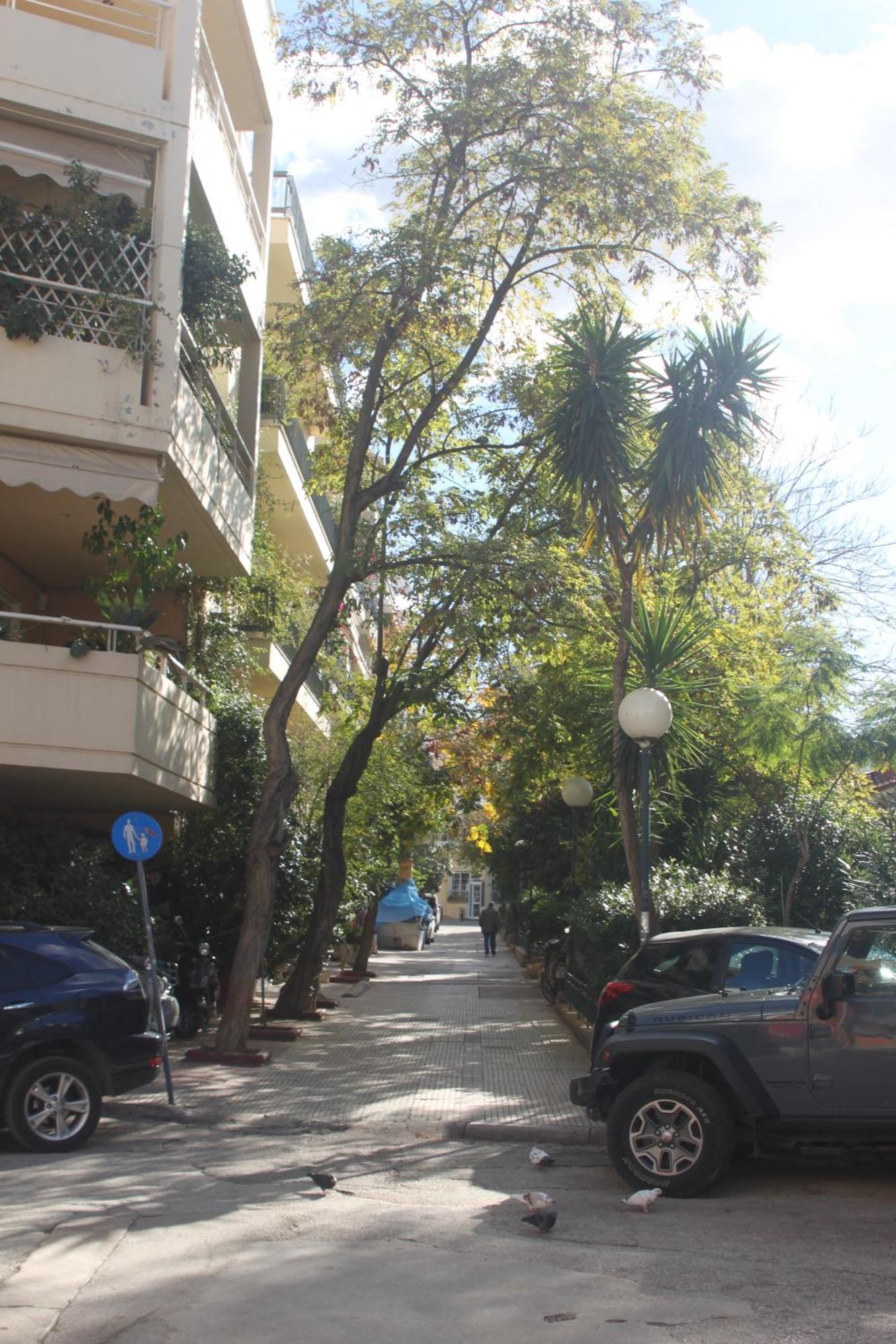 "Under The Olive Tree"- Beautiful Apartment In The Heart Of Atene Esterno foto